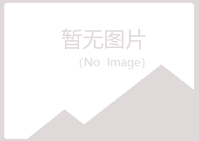 青铜峡曼山咨询有限公司